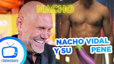 nacho vidal porno|Nacho Vidal Anal Porn: Hardcore Sex Videos 